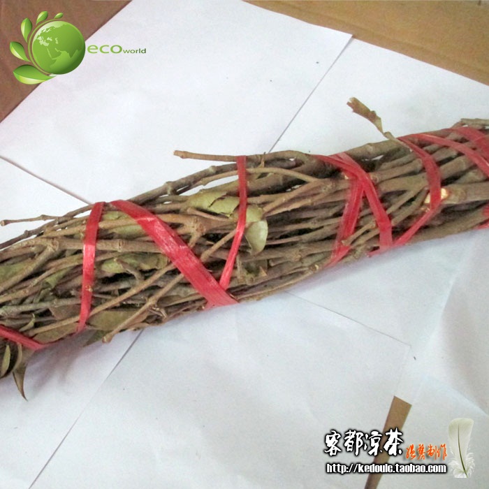 珍贵药材 杉树寄生 杉木寄生 骨质增生 补肝肾 