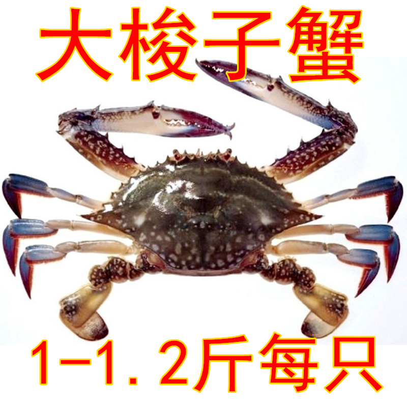 码头直送新鲜冷冻野生公梭子蟹1-1.2斤每只 冰冻速冻海蟹螃蟹在类目 水产肉类/新鲜蔬果/熟食, 海鲜/水产品/制品, 蟹类, 蟹类制品中 - 来自Buy2taobao.com提供专业的淘宝代购服务