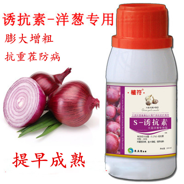 Onion Dedicated Induced resistance factors Foliar Rhizome Leavening agent Expansin Green onions Expand Thickening Plant diseasein the Agricultural goods , Fertilizer , Foliar category - from Buy2taobao.com to provide professional Taobao agent buy service
