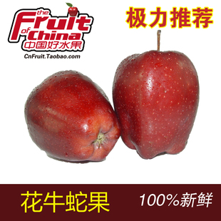  天水花牛苹果 3斤 出口红蛇果 新鲜水果 6斤起江浙沪包邮