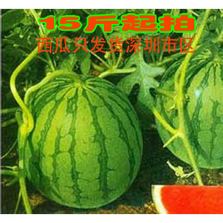 省心多西瓜无籽西瓜1斤新鲜水果深圳配送同城快至2小时到达在类目 水产肉类/新鲜蔬果/熟食, 新鲜水果, 其它中 - 来自Buy2taobao.com提供专业的淘宝代购服务