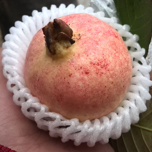  芭乐/番石榴/胭脂红番石榴/降血糖最佳水果/香甜软糯/新鲜水果