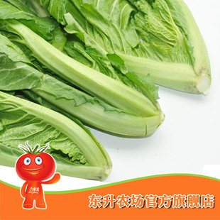  农场直供_有机芥菜_新鲜有机蔬菜_有机健康蔬菜 广州配送（300g）