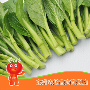  【东升农场】广东绿色菜心_新鲜青菜_健康食品_绿色蔬菜（300g）