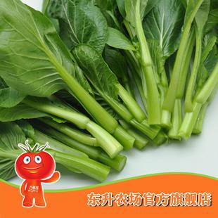  【东升农场】 广东菜心苗_新鲜青菜_健康蔬菜 广州新鲜配送 300g