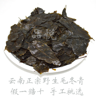  正宗云南毛冬青叶茶新茶 苦甘叶茶正宗护肝茶凉茶批发 牛蒡雪菊