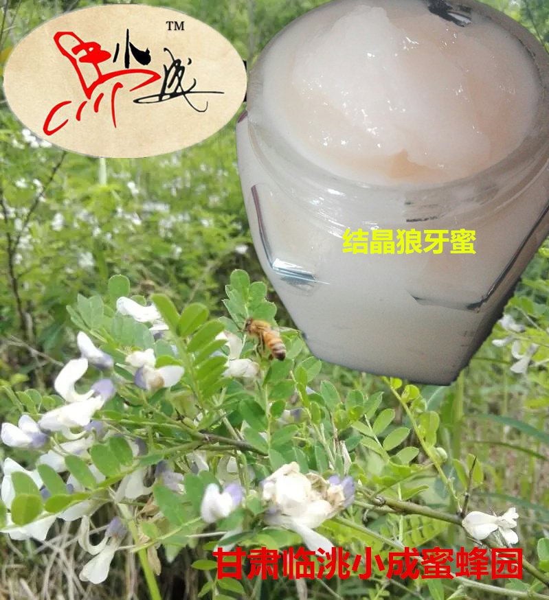 马小成狼牙刺蜂蜜结晶农家蜂场产自甘肃两当名优特产500克包邮|ruв категории традиционные питательный пища, мед - от Buy2taobao.com для оказания профессиональной услуги покупки агента Taobao