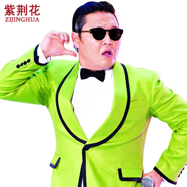 GANGNAM+STYLE--Park+Jae-Sang+sunglass