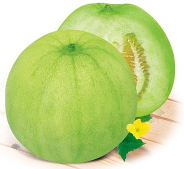 日本甜宝甜瓜种子旗舰店,日本甜宝甜瓜种子价