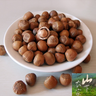  野生东北不开口山毛榛笨榛子火榛子12新货榛子满仁熟孕妇DHA食物