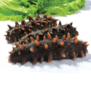  宫品海参 即食海参 高压即食海参 高端刺参 品质更好 500克