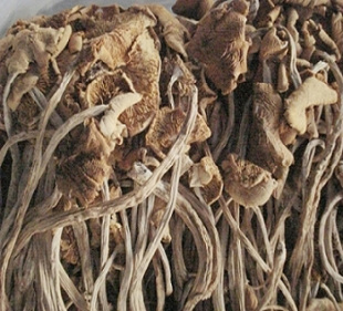  茶树菇 南北特产干货 福建古田特级茶树菇200g 出口级茶树菇