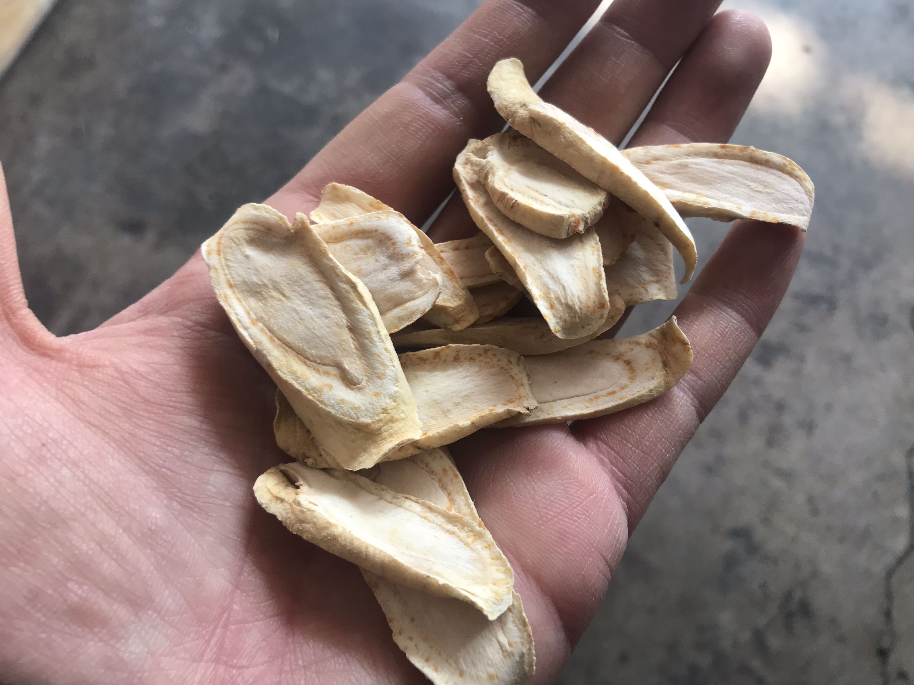 Changbai American ginseng Farm American ginseng 250 Gram packsin the Traditional nourishing food , Ginseng tonic , American ginseng category - from Buy2taobao.com to provide professional Taobao agent buy service