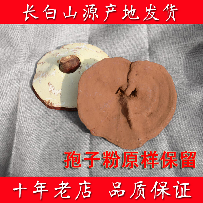 出口 长白山 东北野生环境种植灵芝 赤灵芝带孢子粉林芝 松杉灵芝在类目 传统滋补营养品, 灵芝, 整枝灵芝中 - 来自Buy2taobao.com提供专业的淘宝代购服务