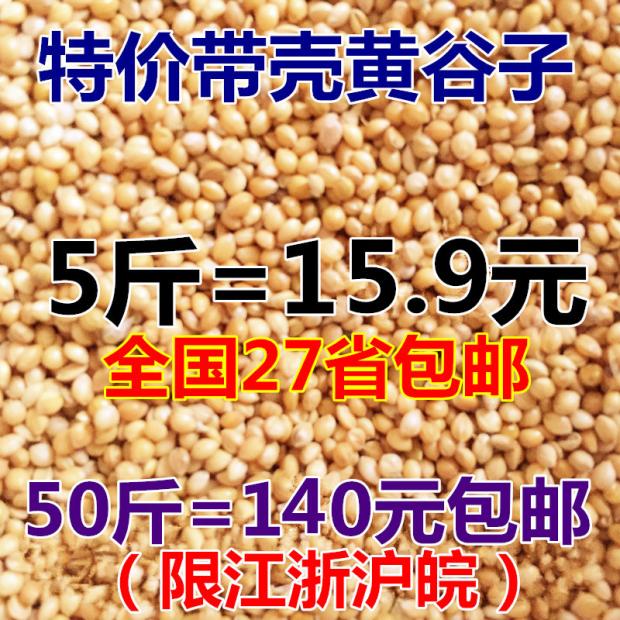 带壳小米虎皮牡丹玄凤文鸟鹦鹉鸟食新黄谷子鸟粮饲料包邮可代理|msdalam kategori haiwan peliharaan/makanan haiwan dan bekalan, Burung dan bekalan, makanan burung - dari Buy2taobao.com untuk memberikan perkhidmatan ejen Taobao profesional membeli