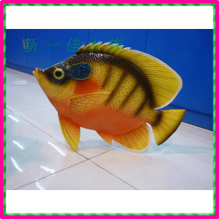 大型热带鱼观赏鱼排行榜大型热带鱼观赏鱼价格