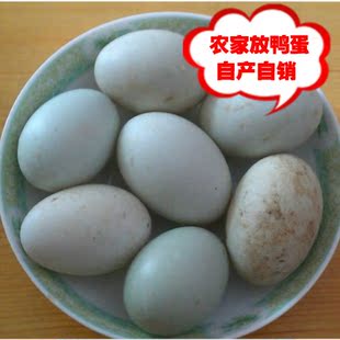  农家自产放鸭蛋 湿地绿壳鸭蛋 野生鸭蛋 麻鸭蛋绿色食品大鸭蛋