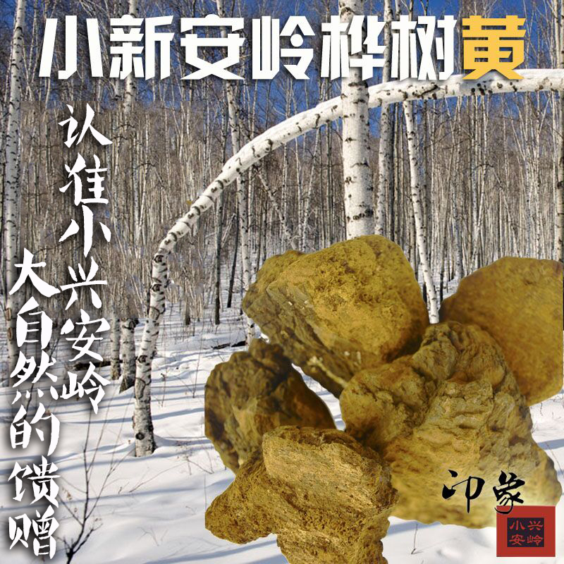 东北野生桦树茸白泪菇菌茶胆桦褐孔菌桑黄正品大块500g1斤包邮在类目 粮油米面/南北干货/调味品, 南北干货/肉类干货, 干货/土特产, 其它中 - 来自Buy2taobao.com提供专业的淘宝代购服务