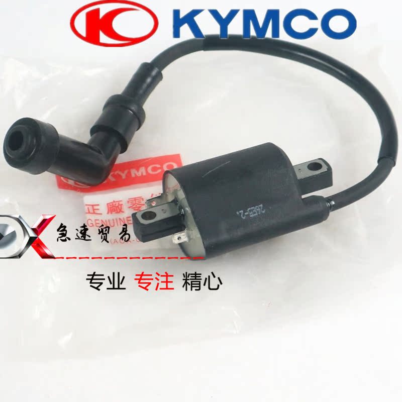 光阳摩托国产/进口赛艇250/300i/ABS/S400点火线圈高压包高压线|msdalam kategori motosikal/Equipment/Fitting, Aksesori motosikal, pencucuhan/peranti pencucuhan - dari Buy2taobao.com untuk memberikan perkhidmatan ejen Taobao profesional membeli