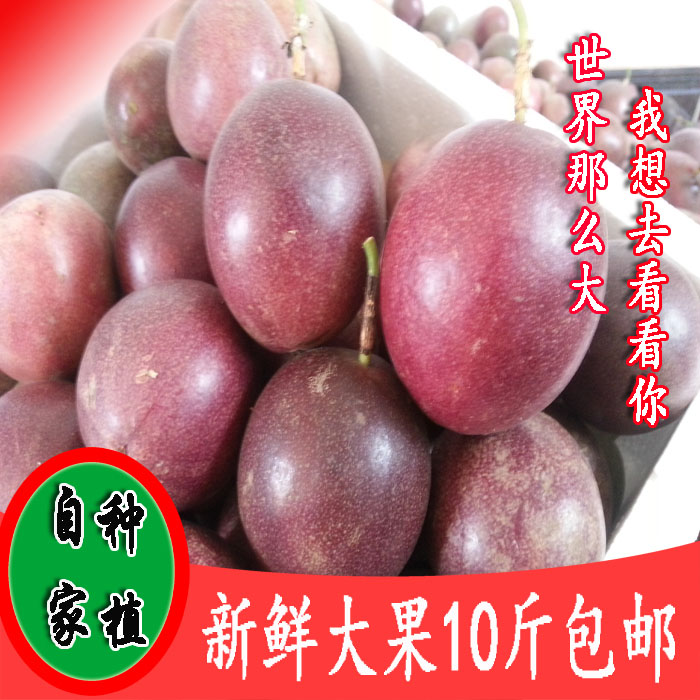 Send a pound fresh fruit Guangxi Farm specialty Passion fruit Red berries Passionflower Eggs, fruit 10 Jinin the Aquatic meat/Fresh fruits and vegetables/Cooked , Fresh fruit , Passion Fruit category - from Buy2taobao.com to provide professional Taobao agent buy service