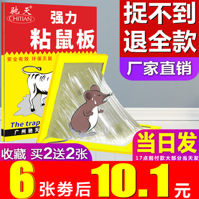 强力粘鼠板捉抓粘老鼠贴胶笼药正品家用捕鼠灭鼠器神器克星一窝端