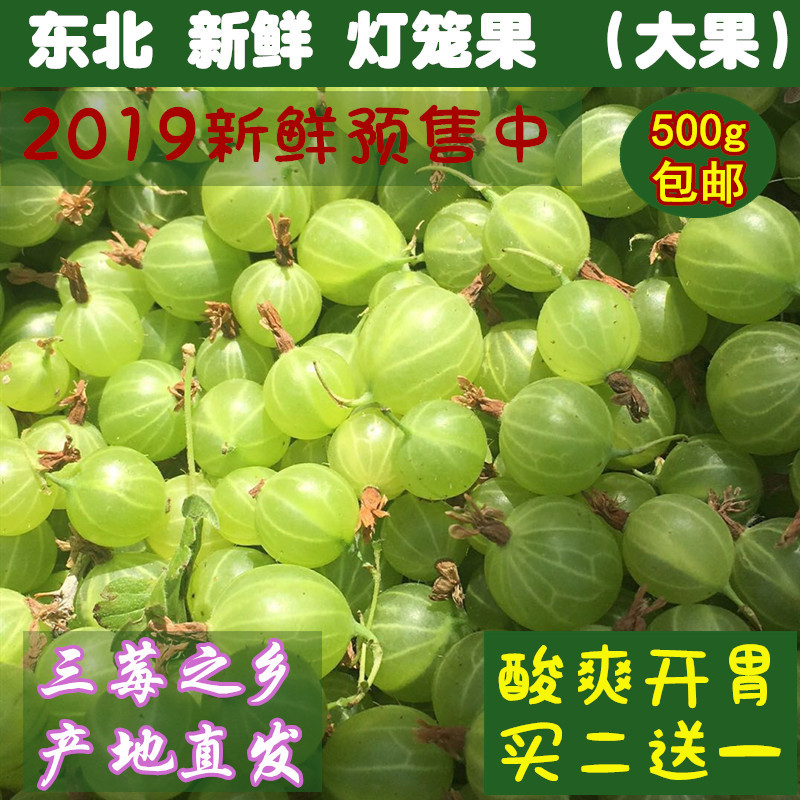 东北鹅莓酸洋酸梅绿樱桃酸掉渣醋栗酸子粒酸爽开胃新鲜灯笼果500g|ruв категории водной мясо/свежие фрукты и овощи/еда, свежие фрукты, другие - от Buy2taobao.com для оказания профессиональной услуги покупки агента Taobao