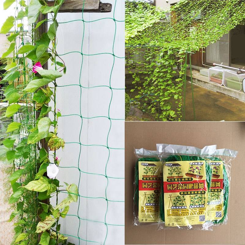 围墙耐用缠绕定植农家花网室外户外植物爬藤网支架网架瓜棚果蔬家|ruв категории доставка цветов/цветок моделирования/растения садоводства, садовых принадлежностей, других садовых принадлежностей - от Buy2taobao.com для оказания профессиональной услуги покупки агента Taobao