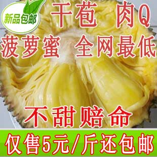  正宗海南特产新鲜水果 马来1/6号菠萝蜜干苞 坏包退款 22斤起包邮