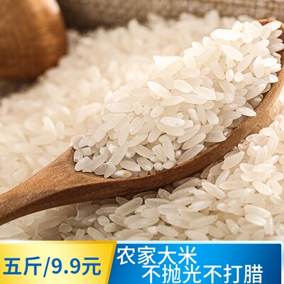 新大米2019湖北大米新米 农家大米长米粒大米5斤装细长小包装大米