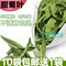 上下架计划:花草茶甜菊叶茶降血压 甜叶菊茶50g适合糖尿病人10袋送1袋包邮