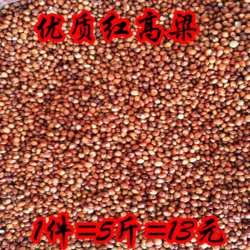 Red Sorghum dove parrot Sorghum rice Hamsters birdseed Red Sorghum 5 Youngsters Coarse Cerealsin the Pet/Pet food and supplies , Birds and supplies , Bird food category - from Buy2taobao.com to provide professional Taobao agent buy service