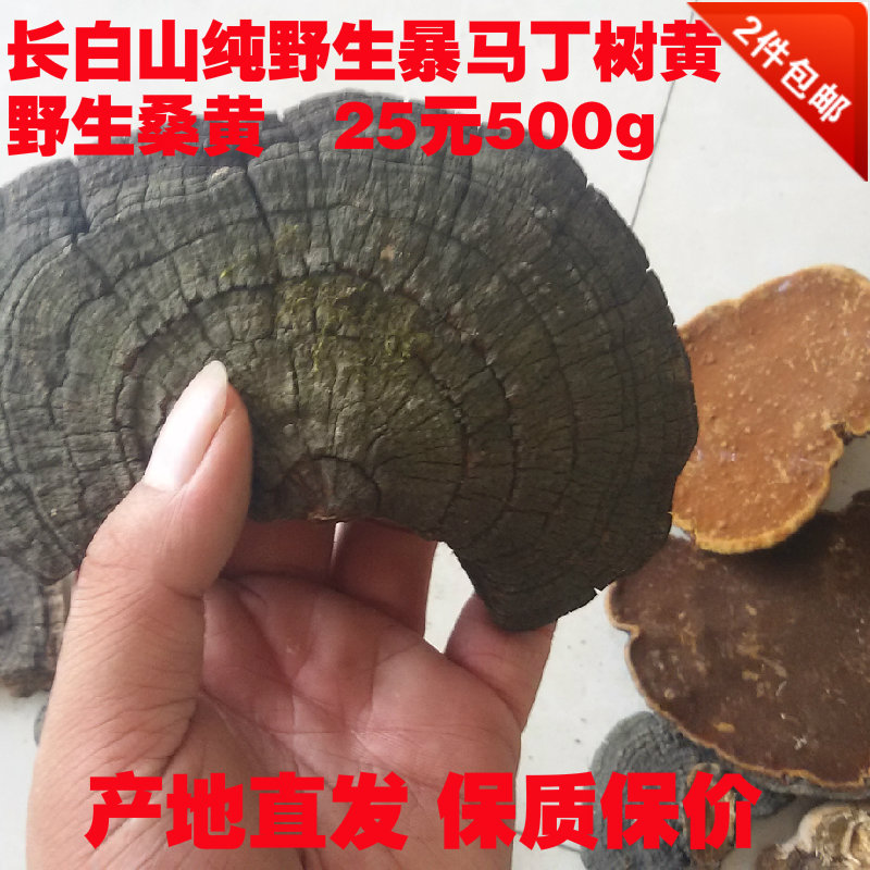 Changbai wild Syringa reticulata Fleckedflesh Polypore Martin tree yellow Wild Sang Wong 25 element 500g 2 poundsin the Traditional nourishing food , Ganoderma , Pruning Ganoderma category - from Buy2taobao.com to provide professional Taobao agent buy service