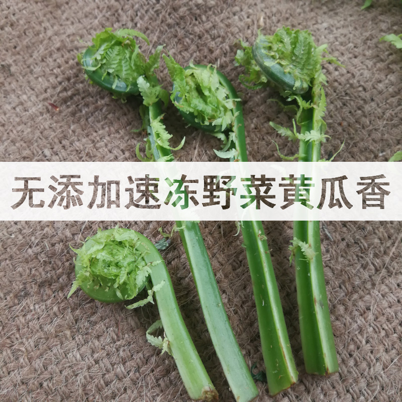 野菜新鲜速冻广东菜黄瓜香长寿菜2斤每份 限区包邮在类目 水产肉类/新鲜蔬果/熟食, 新鲜蔬菜/蔬菜制品, 新鲜蔬菜, 其它中 - 来自Buy2taobao.com提供专业的淘宝代购服务
