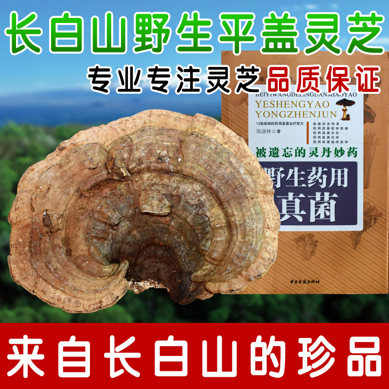 Changbai Mountains Life Gailingzhi Pruning Ganoderma lucidum Nyingchiin the Traditional nourishing food , Ganoderma , Pruning Ganoderma category - from Buy2taobao.com to provide professional Taobao agent buy service
