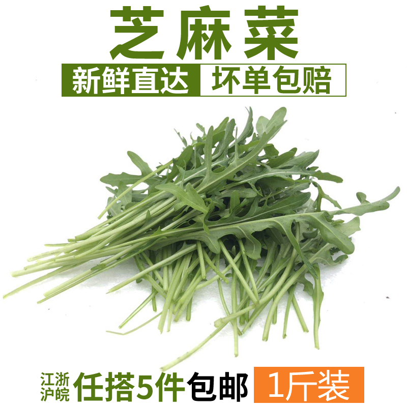 芝麻菜500g 新鲜蔬菜沙拉食材 生菜 西餐 火箭菜 江浙沪皖5件包邮在类目 水产肉类/新鲜蔬果/熟食, 新鲜蔬菜/蔬菜制品, 新鲜蔬菜, 其它中 - 来自Buy2taobao.com提供专业的淘宝代购服务