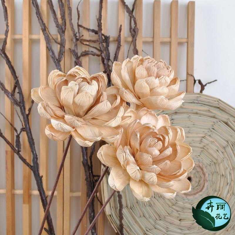 植物干花花束仿真花家居现代摆设装饰客厅卧室落地小清新玉牡丹花|msdalam kategori penghantaran bunga/bunga simulasi/tumbuhan berkebun, bunga abadi/bunga kering, bunga kering - dari Buy2taobao.com untuk memberikan perkhidmatan ejen Taobao profesional membeli
