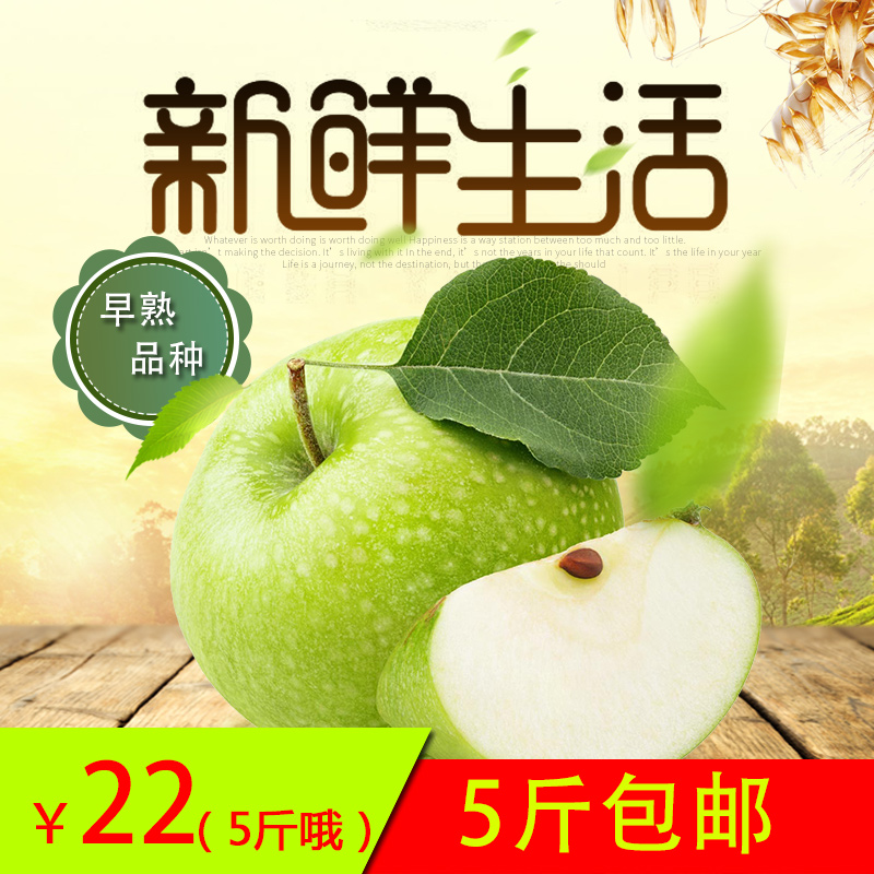 青蘋果水果新鮮脆甜5斤包郵 孕婦水果農家蘋果批發,6月份發貨在類目 水產肉類/新鮮蔬果/熟食, 新鮮水果, 蘋果中 - 來自Buy2taobao.com提供專業的淘寶代購服務