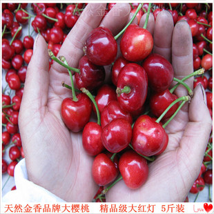 预售6月烟台大樱桃红灯精品级5斤 胜进口车厘子水果新鲜福山特产
