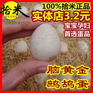  拾米正品 鹧鸪蛋(飞龙蛋)天然放养 益智鸟蛋土鸡蛋孕妇宝宝脑黄金