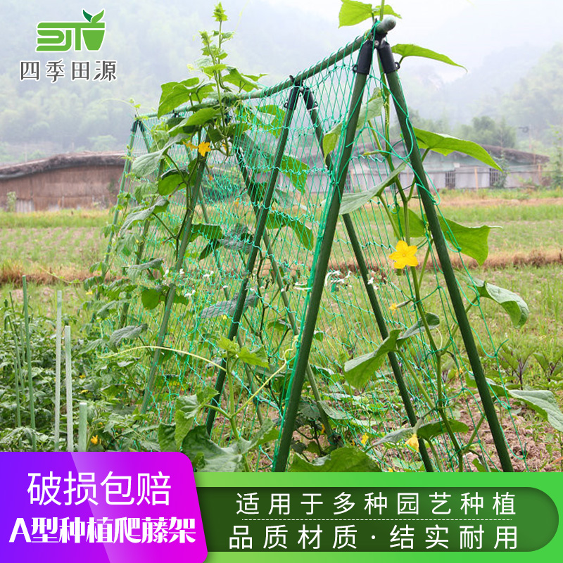 园艺用品包塑钢管花支柱爬藤架带网 用于瓜果和蔓生植物家庭种植|ruв категории доставка цветов/цветок моделирования/растения садоводства, садовых принадлежностей, других садовых принадлежностей - от Buy2taobao.com для оказания профессиональной услуги покупки агента Taobao