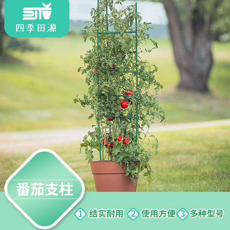 夏季遮阳爬藤植物攀爬支架 番茄爬藤花支架 塑包钢花架|ruв категории доставка цветов/цветок моделирования/растения садоводства, садовых принадлежностей, других садовых принадлежностей - от Buy2taobao.com для оказания профессиональной услуги покупки агента Taobao