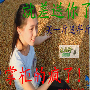  东北特产纯野生小榛子 火榛子新货（熟）疯狂价买就送满包邮