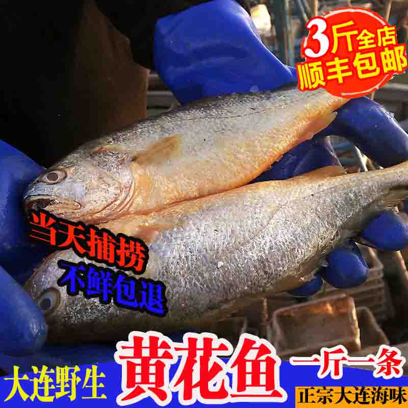 大连深海鱼 黄花鱼新鲜当天上岸海鲜水产大黄鱼海鱼满三斤包邮在类目 水产肉类/新鲜蔬果/熟食, 海鲜/水产品/制品, 其它中 - 来自Buy2taobao.com提供专业的淘宝代购服务