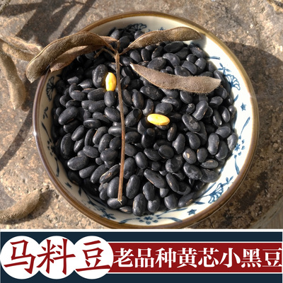 新货农家古老品种黄芯肾形小黑豆500g黄心马料豆载入药典5斤包邮