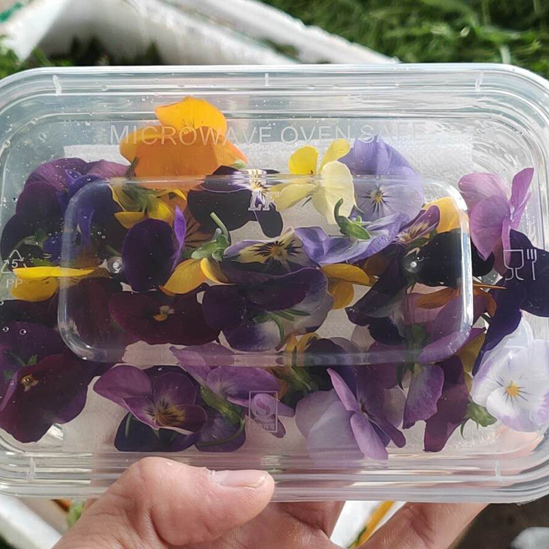 三色堇食用花 新鲜 摆盘 装饰 西餐蛋糕 一盒40朵,5盒顺丰包邮在类目 水产肉类/新鲜蔬果/熟食, 新鲜蔬菜/蔬菜制品, 新鲜蔬菜, 其它中 - 来自Buy2taobao.com提供专业的淘宝代购服务
