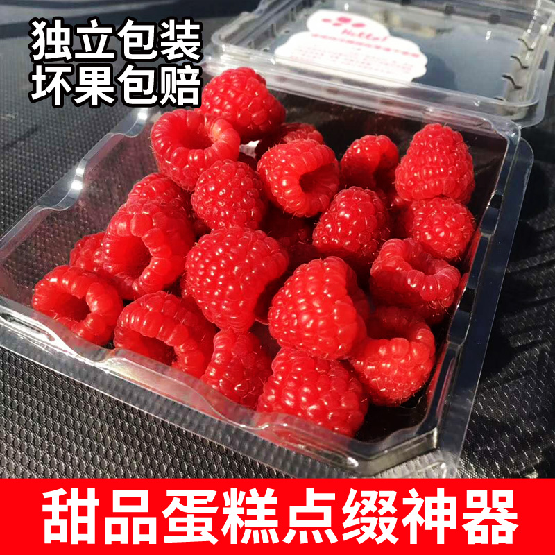 Spot Shanghai fresh Raspberry 2 box-packed Raspberry Plum Fresh fruit Jiangsu SFin the Aquatic meat/Fresh fruits and vegetables/Cooked , Fresh fruit , Other category - from Buy2taobao.com to provide professional Taobao agent buy service