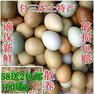  正宗 山林散养七彩野鸡蛋 新鲜山鸡蛋 草鸡蛋 笨鸡蛋种蛋母婴佳品