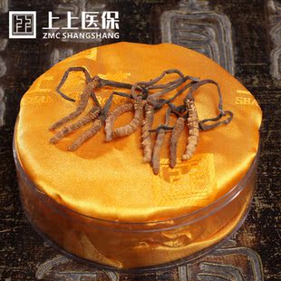  上上 冬虫夏草 6000条 西藏 那曲 6条/克 虫草 1g