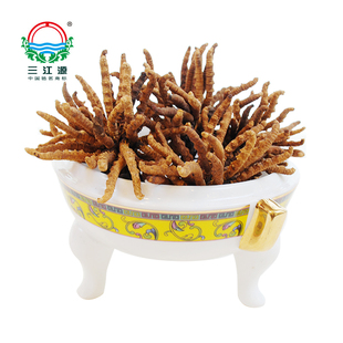  三江源牌纯天然冬虫夏草 青海玉树特级虫草30克装 包邮送礼正品