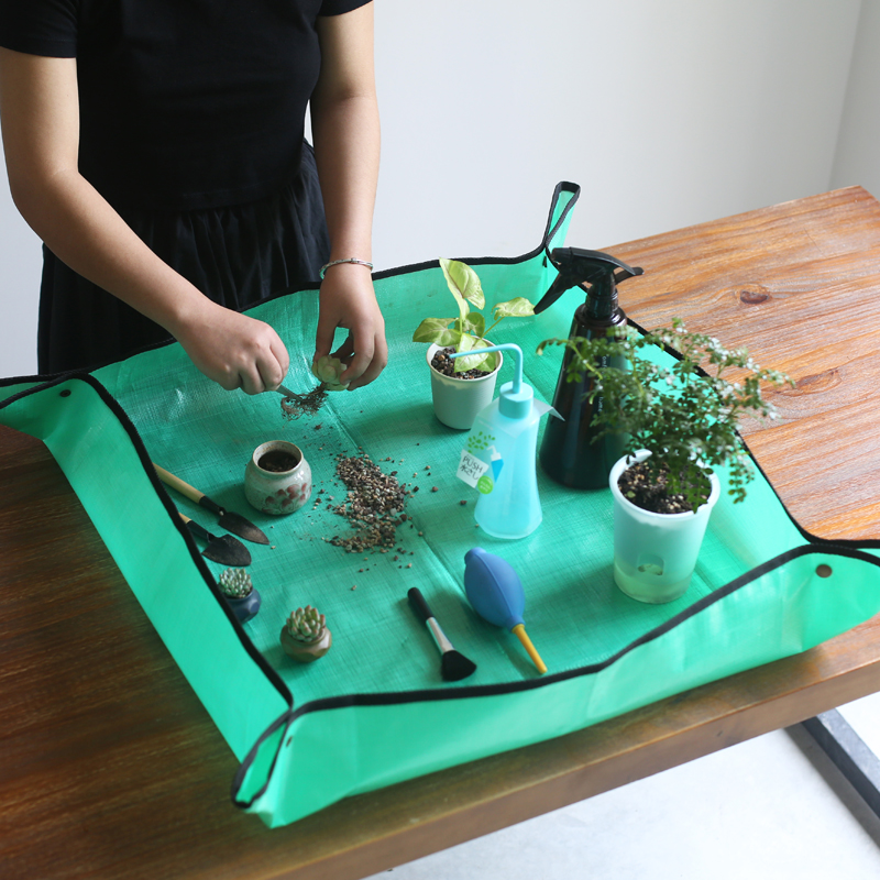 壹分皿多肉植物多肉工具多肉换盆整理垫植物换盆花盆垫防水垫园艺|ruв категории доставка цветов/цветок моделирования/растения садоводства, садовых принадлежностей, других садовых принадлежностей - от Buy2taobao.com для оказания профессиональной услуги покупки агента Taobao